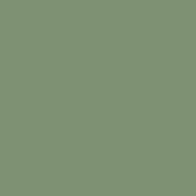 Salvia/Zielony / RAL 6021