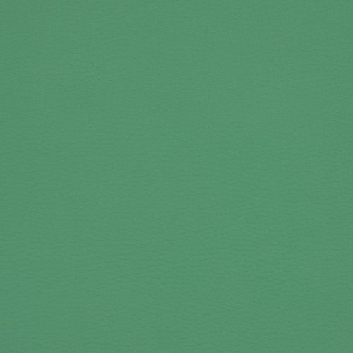 SK1-054 jasny zielony