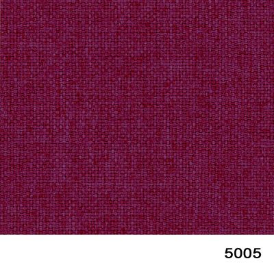 5005