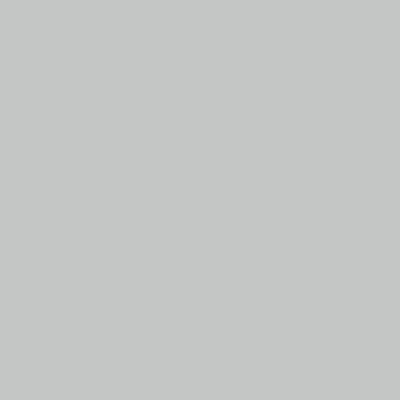 RAL 7035 - popiel