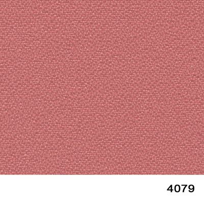 4079