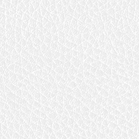 V01