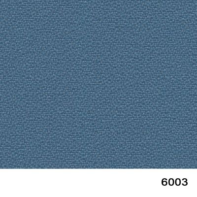 6003