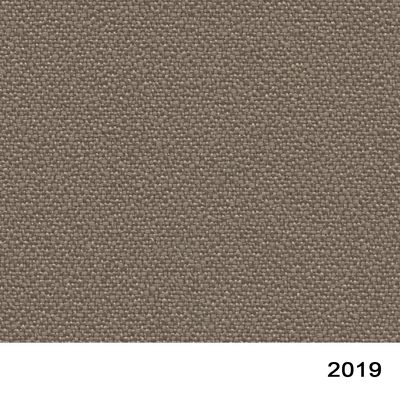 2019