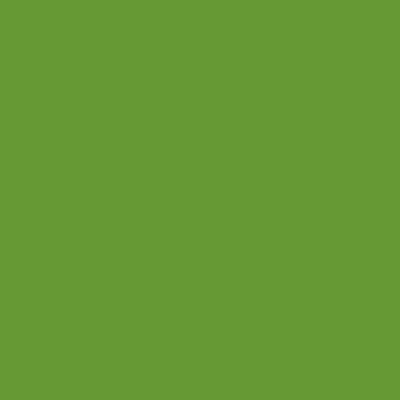 RAL 6018 zielony