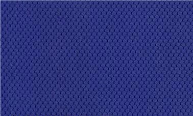 BL415 royalblue