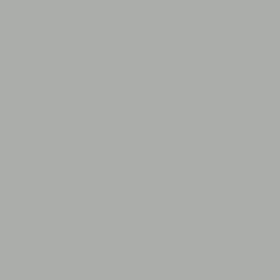 Light Grey NCS S 2500–N
