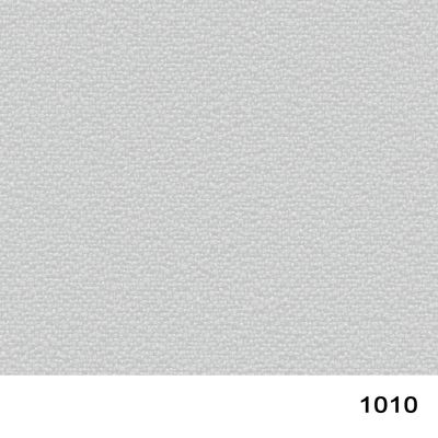 1010