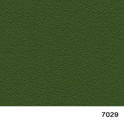 7029