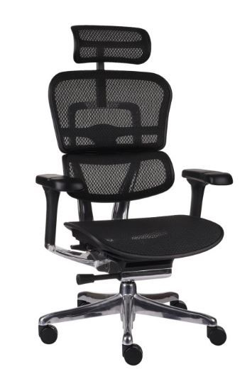 Fotel Ergohuman 2 Elite ST BS Black