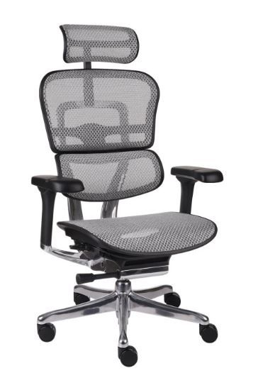 Fotel Ergohuman 2 Elite ST BS Grey