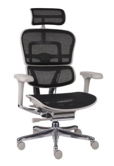 Fotel Ergohuman 2 Elite ST GS Black