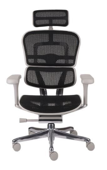 Fotel Ergohuman 2 Elite ST GS Black