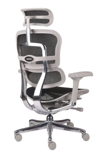 Fotel Ergohuman 2 Elite ST GS Black