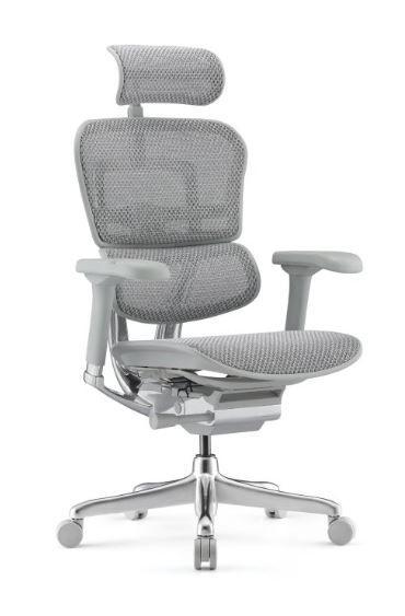Fotel Ergohuman 2 Elite ST GS Grey
