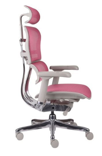 Fotel Ergohuman 2 Elite ST GS Pink